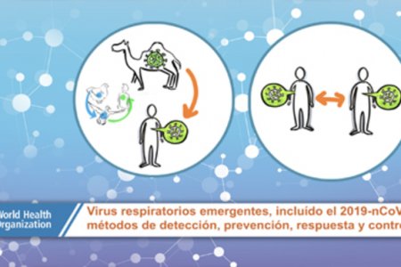 Gobernadora del Valle dio parte de tranquilidad en el departamento tras descartarse casos de Coronavirus