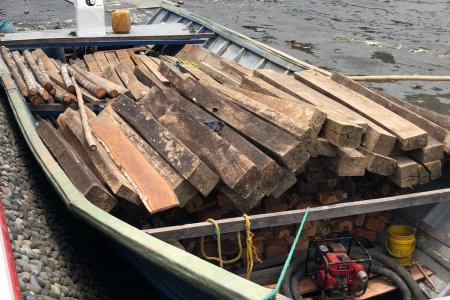La Armada de Colombia incautó madera que fue extraída de forma ilegal del Parque Nacional Natural Sanquianga