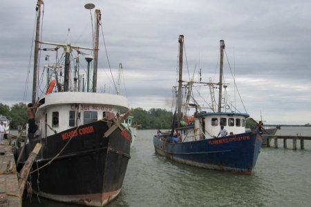La Dimar dio un balance del movimiento de embarcaciones de cabotaje en Buenaventura hacia el pacífico desde el inicio de la Cuarentena Nacional