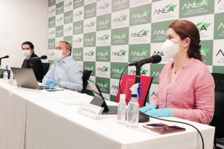 Con una participación de 800 personas, se celebró la primera reunión informativa no presencial convocada por la ANLA