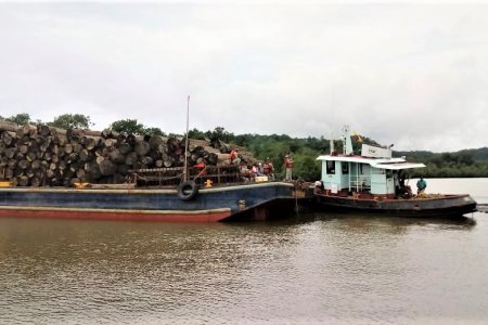 La Armada de Colombia incautó cargamento de madera en el Chocó