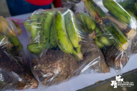 El Centro Comercial Viva Buenaventura y al Alcaldía Distrital realizarán mercado campesino para beneficiar productores de la zona rural