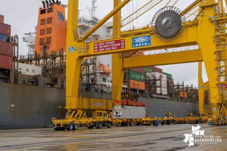 Colombia volverá a China con el aguacate hass de exportación