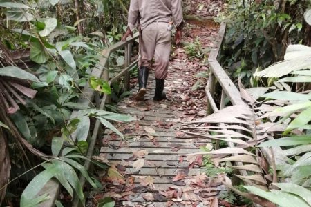 Buscan culminar sendero ecoturístico y otras obras en San Cipriano