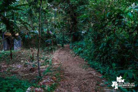 San Cipriano descubre su riqueza natural y prepara a sus jóvenes como investigadores &lsquo;Junior&rsquo; en proyecto financiado con regalías