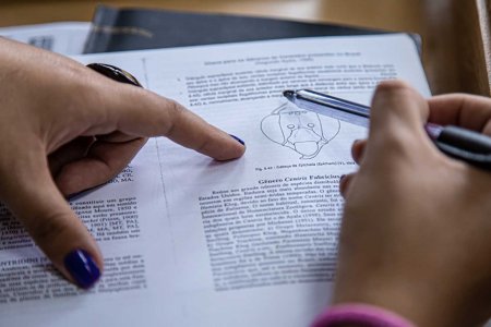 Ministerio de Ciencia invita a profesionales a participar en convocatoria para estudios de doctorado en el exterior