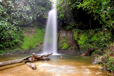 La reserva natural de San Cipriano se reactivaría para el turismo en enero de 2021