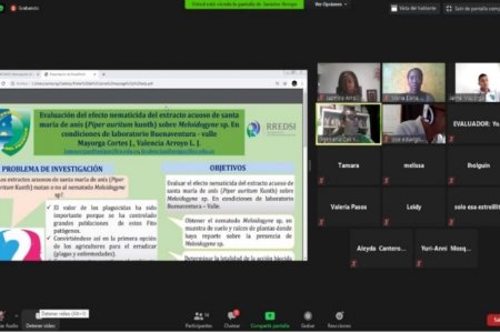 Estudiantes de la Universidad del Pacífico participaron en el IX Encuentro Departamental de Semilleros de Investigación RREDSI Nodo Valle