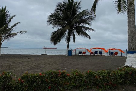 La Dimar lideró webinar con visión turística en Buenaventura