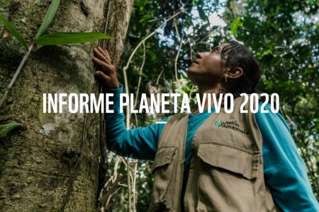 Latinoamérica tiene los mayores indicadores de pérdida de biodiversidad en el mundo