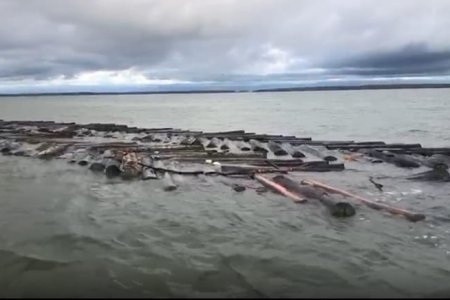 La Armada de Colombia incautó 577 trozas de madera en la bahía de Buenaventura
