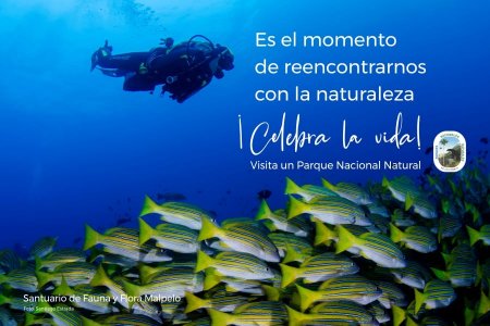 Comienza la reapertura gradual de los Parques Nacionales Naturales de Colombia