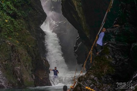 El charco 'La Sirena' en el río Danubio sigue siendo un paraíso natural