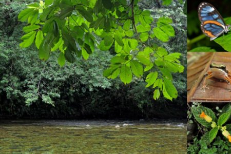 La comunidad de San Cipriano se prepara para dar apertura a la reserva