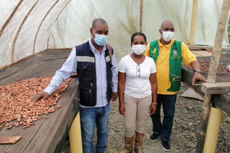 Productores de cacao y papachina del Bajo Calima recibirán apoyo técnico