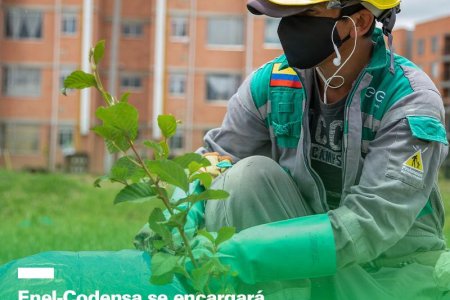 ENEL-CODENSA ejecuta plan para beneficiar el entorno y comunidades de la Subestación Compartir