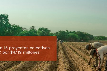 Se aprobaron 15 proyectos colectivos de las FARC por $ 4.119 millones