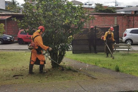La Dirección Técnica Ambiental realiza jornada de poda de árboles en diferentes sectores de Buenaventura