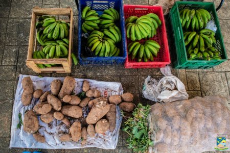 La Administración Distrital de Buenaventura realizó el Segundo Mercado Popular "Del Campo a tu Hogar"
