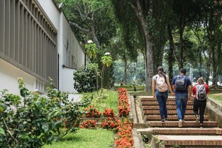 Ministerio de Educación asigna nuevos recursos para apoyar el pago de matrícula y gastos de sostenimiento de los estudiantes de las Instituciones de Educación Superior públicas en el 2021