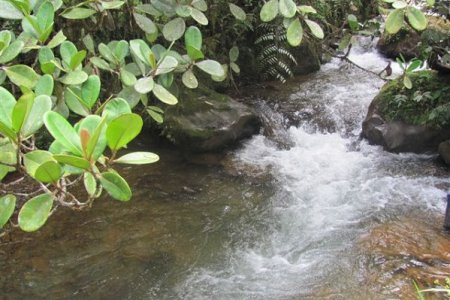 El uso eficiente y ahorro del agua, tema prioritario para los acueductos veredales de Calima El Darién
