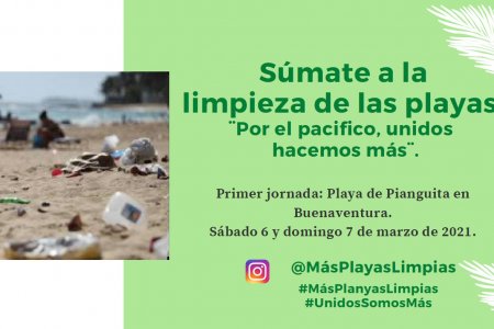 Influenciadores digitales de Cali realizarán jornada de limpieza en playas de Buenaventura