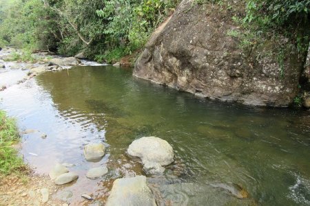 Los ríos Dagua, Anchicayá, Bitaco y Calima han mantenido sus niveles estables