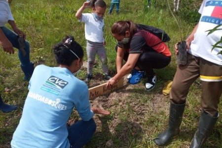 95 árboles fueron adoptados por niños y niñas del corregimiento El Queremal, Dagua