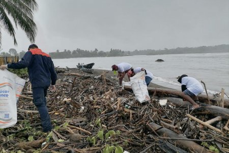 La Dirección General Marítima y Fundación Natura lideraron jornada de limpieza en playas de Bahía Solano, Chocó