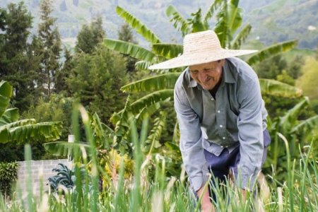Conozca la experiencia exitosa de la Alcaldía de Medellín ganadora del Premio Nacional de Alta Gerencia 2020