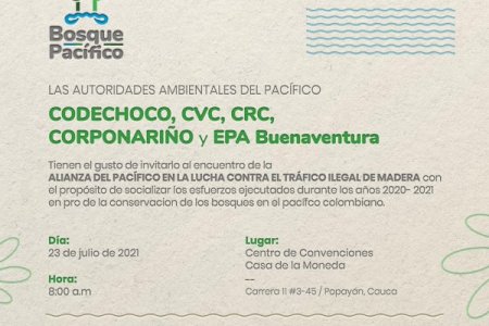 Los departamentos del pacífico en frente común para luchar contra la deforestación