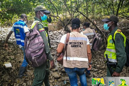 La Dirección Técnica Ambiental y la Corporación de Gestores Ambientales del Pacífico buscan llegar a cero residuos sólidos en los manglares de la bahía de Buenaventura