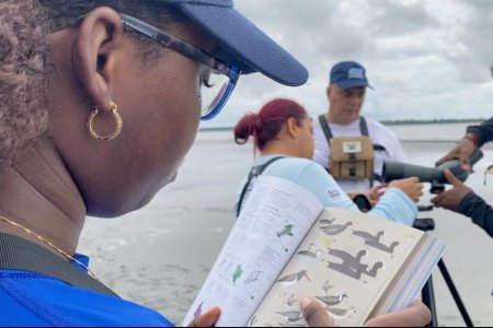 Se inició monitoreo de aves en Punta Soldado, Buenaventura