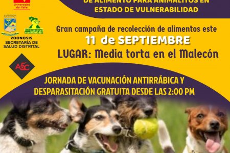 El sábado 11 de septiembre se realizará vacunación antirrábica y desparasitación gratuita para animales en Buenaventura