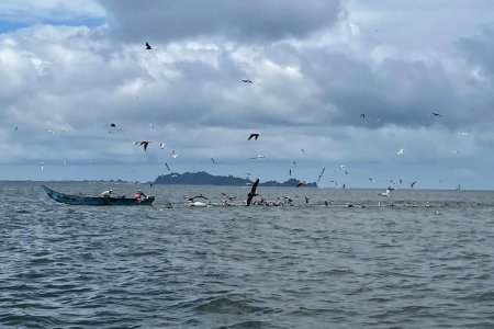 La Dirección General Marítima mantiene su compromiso con el plan de ordenamiento marino costero de Tumaco, Nariño