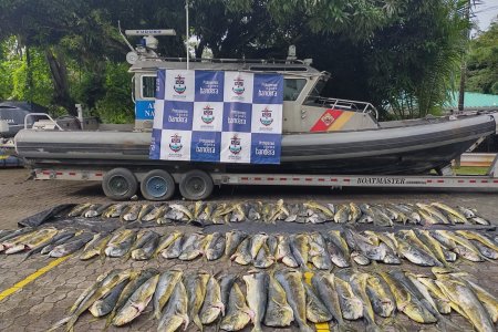 Interceptan tres lanchas de bandera extranjera con 1.6 toneladas de pesca ilegal en el pacífico nariñense