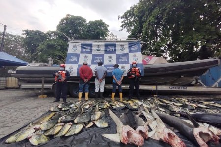 Fueron incautadas 1.6 toneladas de pesca transportadas ilegalmente en el pacífico nari&ntilde;ense