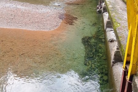 Se presenta bajo caudal en bocatoma del río Escalerete y la SAAAB hace un llamado al uso racional del agua potable en Buenaventura