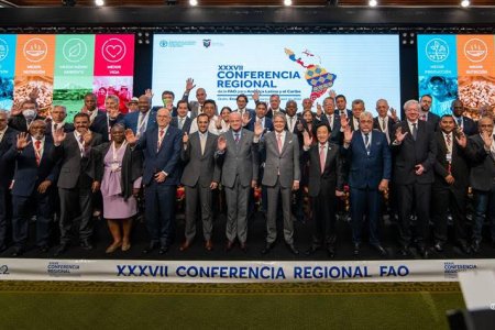 Los países de América Latina y el Caribe establecieron tres prioridades regionales para la FAO