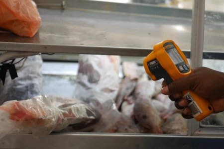 En Buenaventura se fortalece la inspección a pescados y alimentos de consumo por temporada de Semana Santa