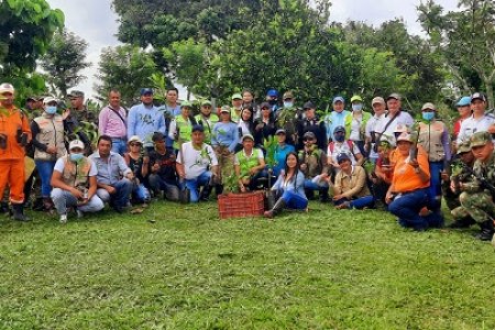 La CVC lideró sembratón de más de 400 mil árboles en todo el Valle del Cauca