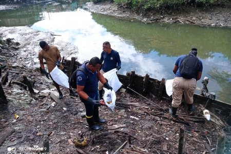 Avanza la recuperación de un sector del estero El Pailón