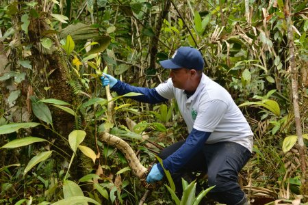 La defensa por la vida continúa desde todos los territorios, visita del Director General de la CVC a Buenaventura