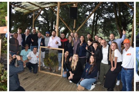 Influenciadores del gremio Laick y ReverdeC se unen para motivar la siembra masiva de árboles y compensar la huella de carbono