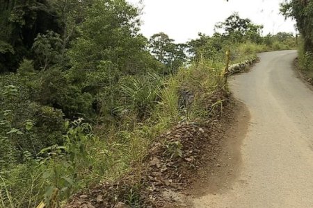 Muro de contención garantizará conectividad en la vía Roldanillo - Bolívar en el Valle del Cauca