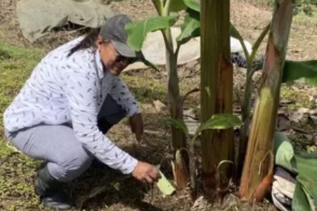 Reconocimiento a la tenacidad y aporte de la mujer en el campo del Valle del Cauca en el Día de la Mujer Rural