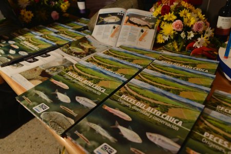 El río Cauca vive y es casa de nuevas especies, revela el documental &lsquo;Expedición Río Cauca&rsquo;, que busca crear conciencia de su cuidado