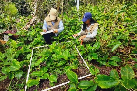 La CVC trabaja en la identificación de polinizadores en Cali, Yumbo, Jamundí y Buenaventura