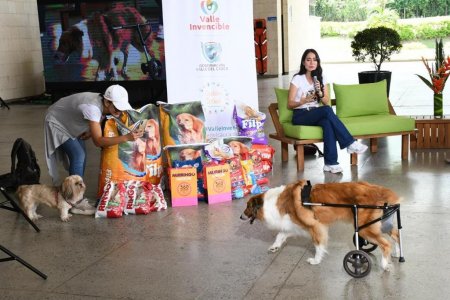 15 mil razones para agradecer a los vallecaucanos su solidaridad, la Donatón 'Salvando Huellas' superó la meta