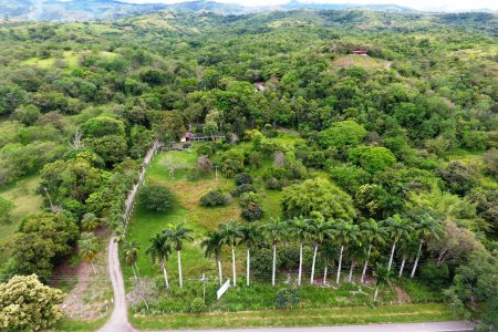 Guacharaca, coclí y mono nocturno, especies representativas del Bosque Seco Tropical en el Valle revela plan de manejo ambiental